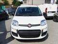 Fiat New Panda 1.0 FireFly S&S Hybrid 70CV Bianco - thumbnail 3