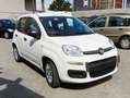 Fiat New Panda 1.0 FireFly S&S Hybrid 70CV Bianco - thumbnail 1