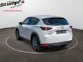 Mazda CX-5 CX-5 SKYACTIV-G/194PS/AUT/SPORTSLINE+NAPALEDER Weiß - thumbnail 7