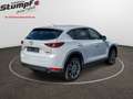Mazda CX-5 CX-5 SKYACTIV-G/194PS/AUT/SPORTSLINE+NAPALEDER Blanco - thumbnail 5