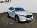 Mazda CX-5 CX-5 SKYACTIV-G/194PS/AUT/SPORTSLINE+NAPALEDER Weiß - thumbnail 4