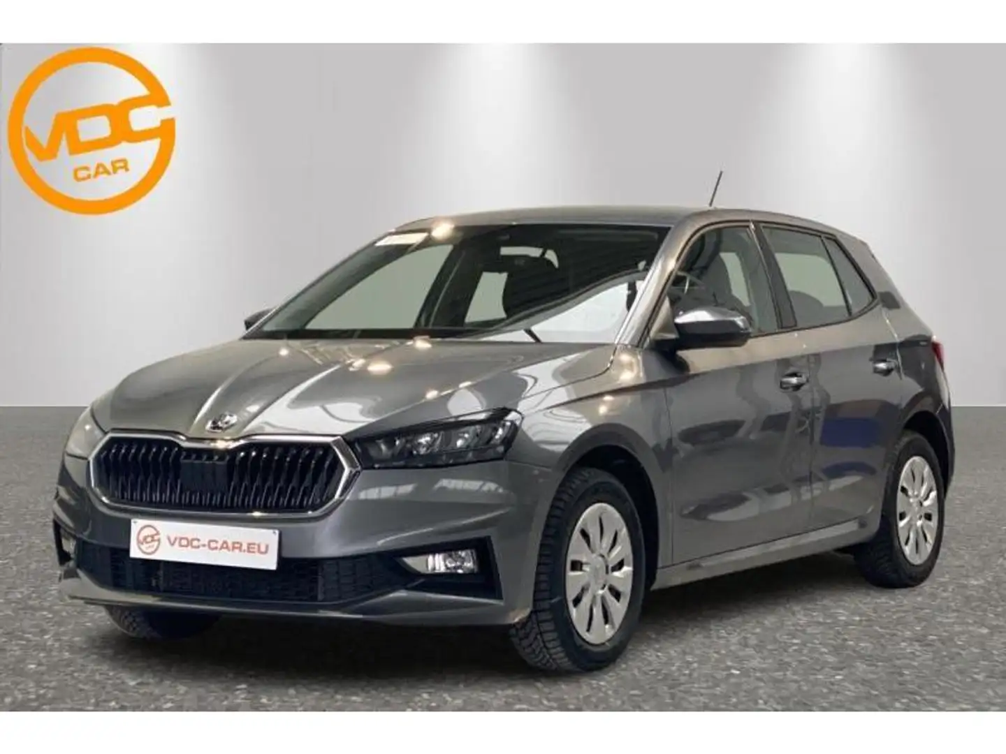 Skoda Fabia Selection 1.0 TSI DSG Gris - 1