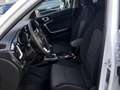 Kia Ceed SW / cee'd SW CEED SW 1.5T-GDI Ultimate Edition Wit - thumbnail 8