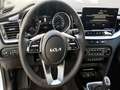 Kia Ceed SW / cee'd SW CEED SW 1.5T-GDI Ultimate Edition Wit - thumbnail 11