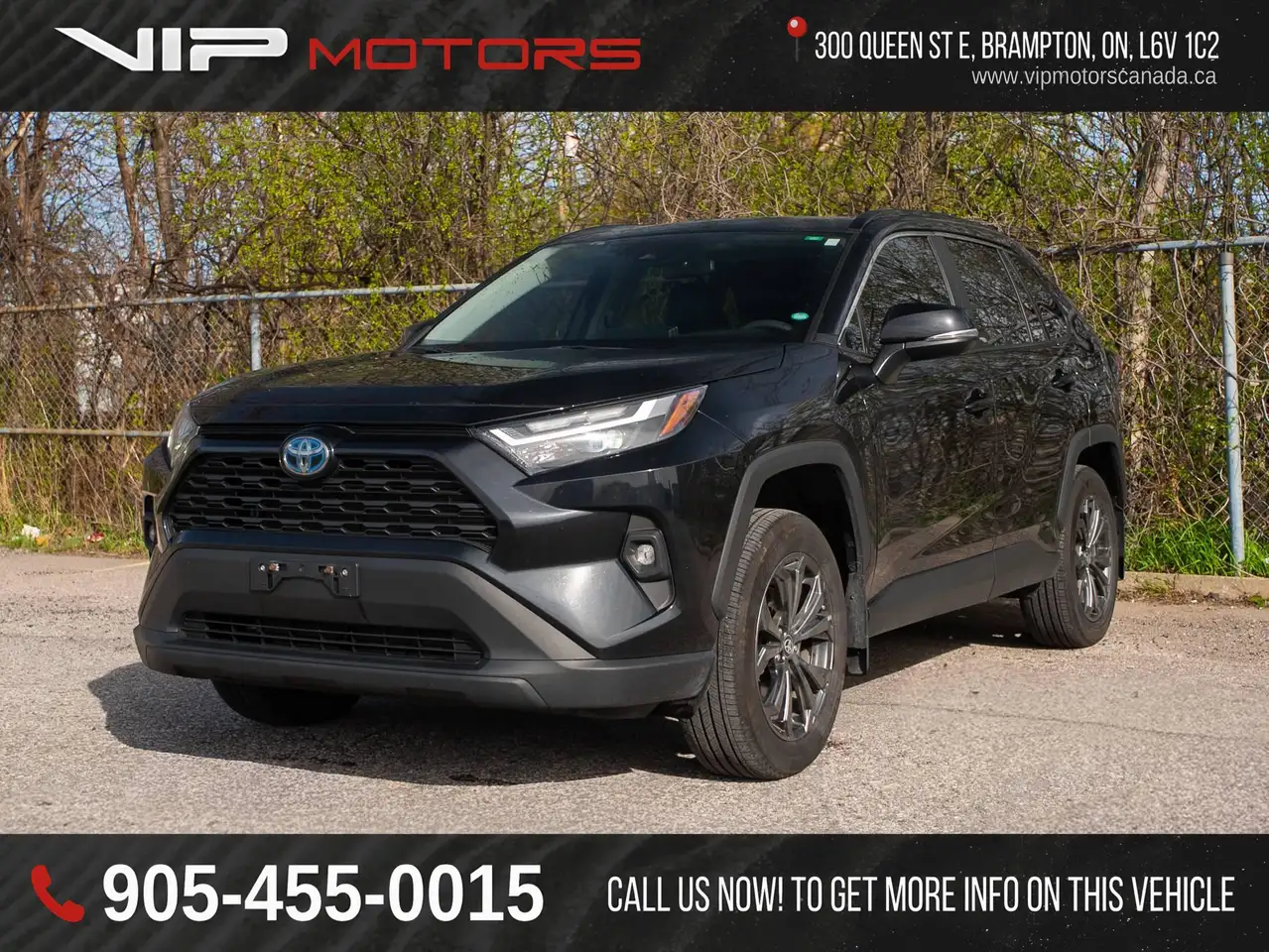 2024 Toyota RAV 4