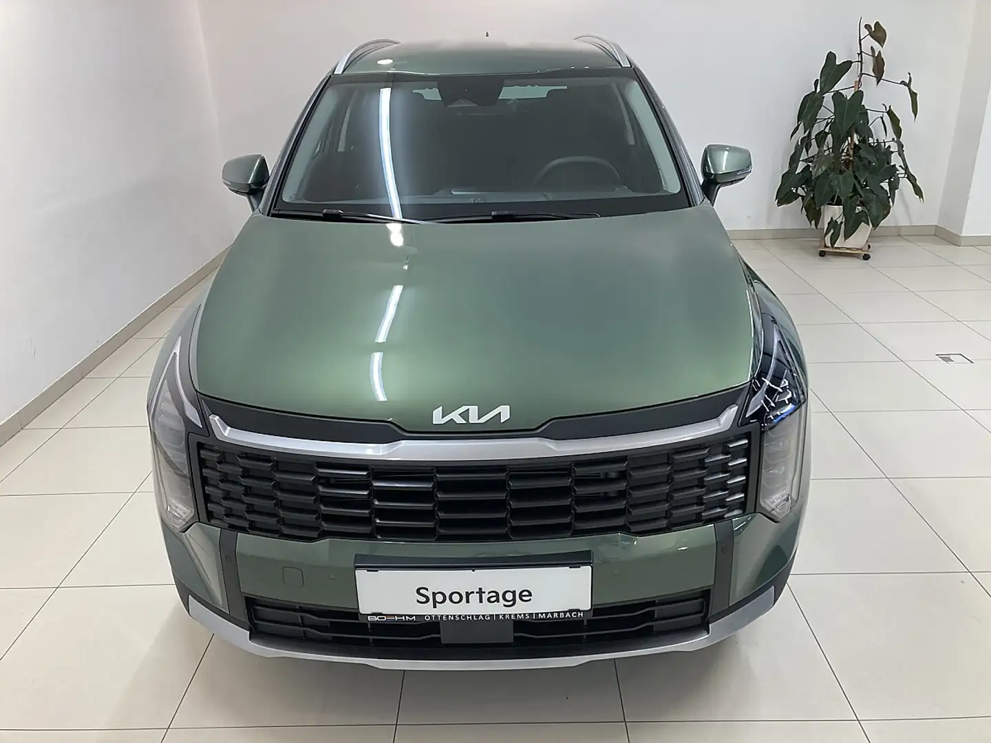 Kia Sportage 1,6 TGDI Silber Grün - 2