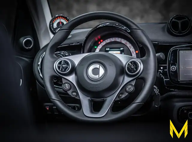 smart Fortwo view 12