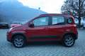 Fiat Panda Panda 1.3 mjt 16v 4x4 75cv Rosso - thumbnail 5