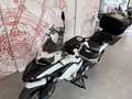 Benelli TRK 502 BENELLI TRK 502 - YM 2023 - thumbnail 14