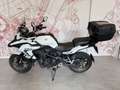 Benelli TRK 502 BENELLI TRK 502 - YM 2023 - thumbnail 4