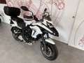 Benelli TRK 502 BENELLI TRK 502 - YM 2023 - thumbnail 9
