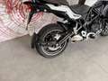 Benelli TRK 502 BENELLI TRK 502 - YM 2023 - thumbnail 11