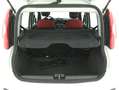 Fiat Panda Pop 1.2 Benzina 69CV Blanc - thumbnail 14