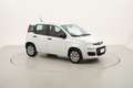 Fiat Panda Pop 1.2 Benzina 69CV Blanc - thumbnail 7