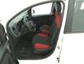 Fiat Panda Pop 1.2 Benzina 69CV Blanc - thumbnail 10