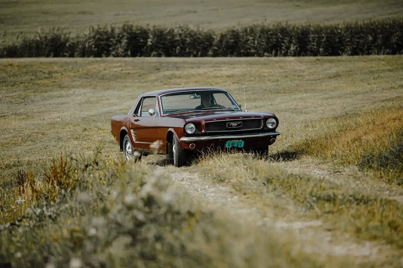 Ford Mustang Coupe V8 Barnfind! Met NL historisch kenteken!, foto 3