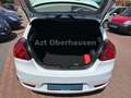 Kia ProCeed / pro_cee'd pro ceed 1.6 92kW*2.HAND*HU NEU*STEUERKETTE NEU* Bianco - thumbnail 20