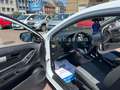 Kia ProCeed / pro_cee'd pro ceed 1.6 92kW*2.HAND*HU NEU*STEUERKETTE NEU* Bianco - thumbnail 9