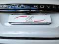 Land Rover Range Rover Evoque Range Rover Evoque 2.0D I4 163 CV AWD Auto R-Dyna Blanc - thumbnail 8