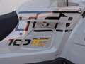 TGB Blade 1000 LT FL EPS MAX ABS Touring T3b 10 JAHRE EDITION ATV Gris - thumbnail 14