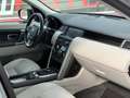 Land Rover Discovery Sport 2.0TD4 HSE 7pl. 4x4 Aut. 150 Verde - thumbnail 14