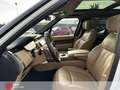 Land Rover Range Rover Range Rover P530 Autobiography SV Pearl-MANSORY- Weiß - thumbnail 18