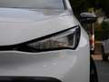 CUPRA Born 170 kW 82kWh PDC SHZ KAMERA NAVI ACC LED Weiß - thumbnail 24