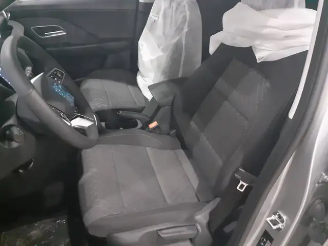 MG ZS view 9