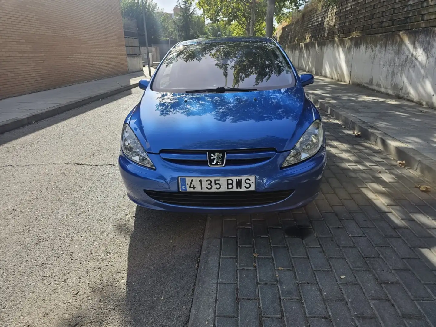 Peugeot 307 1.4i XN Azul - 1
