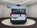Opel Movano L2H2 Vollverglast (Kombi 9-Sitzer) Blanc - thumbnail 4
