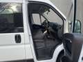 Opel Movano L2H2 Vollverglast (Kombi 9-Sitzer) Blanc - thumbnail 13