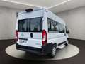 Opel Movano L2H2 Vollverglast (Kombi 9-Sitzer) Blanc - thumbnail 5