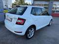 Skoda Fabia 1,0 MPI Cool Plus + Enjoy-Paket, PDC, DAB+, ALU Weiß - thumbnail 7