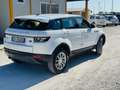 Land Rover Range Rover Evoque 5p 2.2 td4 Pure Tech Pack 150cv - thumbnail 6