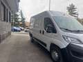 Fiat Ducato tetto alto passo medio 2020 euro 6d tenp Bianco - thumbnail 5