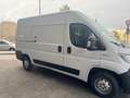 Fiat Ducato tetto alto passo medio 2020 euro 6d tenp Bianco - thumbnail 6