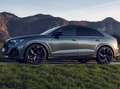 Audi Q8 Grau - thumbnail 1