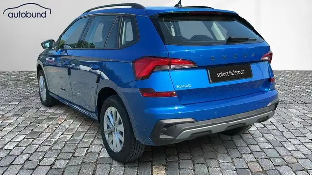 Skoda Kamiq view 2