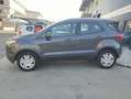 Ford EcoSport EcoSport 1.0 ecoboost Business 125cv Grigio - thumbnail 15