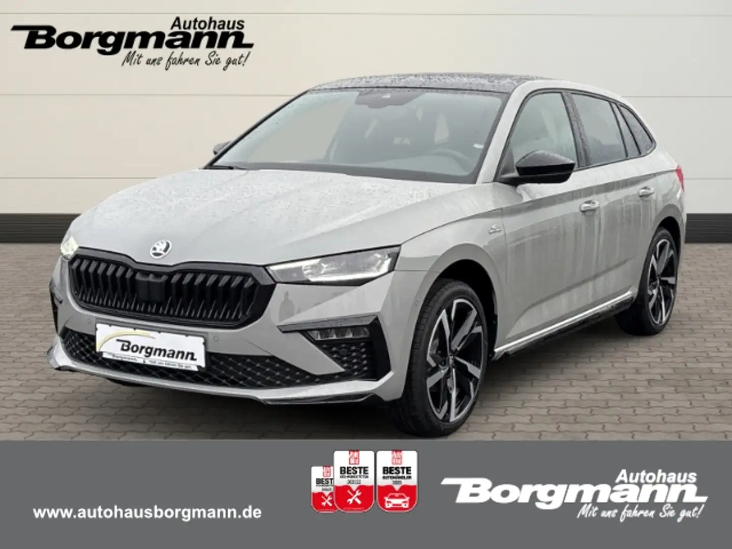 Skoda Scala Monte Carlo Lenkradheizung - Sportsitze - Tempomat Grau - 1