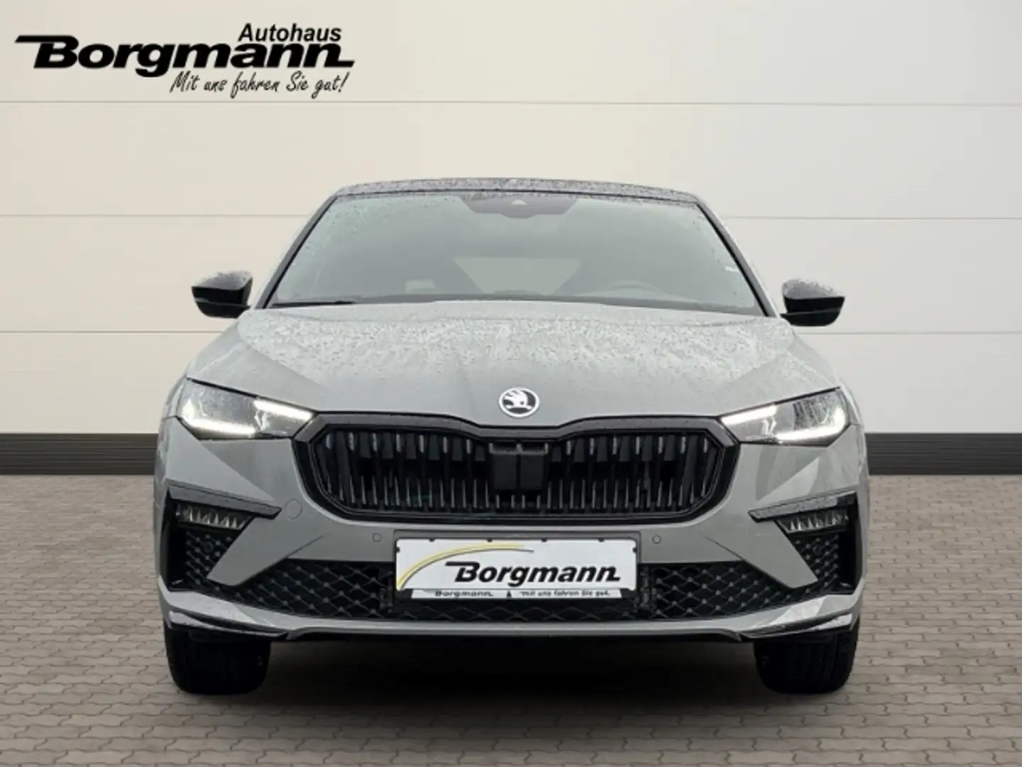 Skoda Scala Monte Carlo Lenkradheizung - Sportsitze - Tempomat Grau - 2