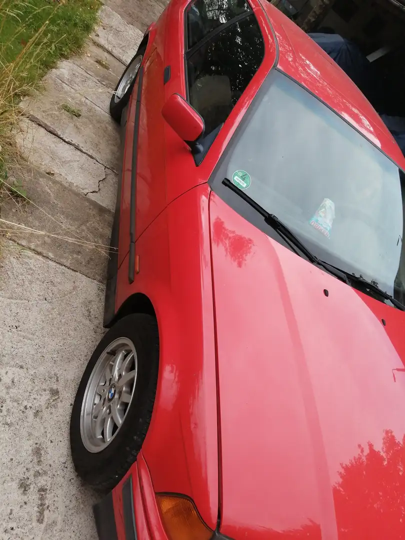 BMW 316 316i - 1