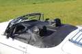 MG B Roadster Wit - thumbnail 15