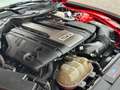 Ford Mustang Mustang 5,0 V8 GT Aut. //GT 500 // Rouge - thumbnail 32