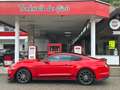 Ford Mustang Mustang 5,0 V8 GT Aut. //GT 500 // Rouge - thumbnail 10