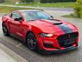 Ford Mustang Mustang 5,0 V8 GT Aut. //GT 500 // Rouge - thumbnail 4