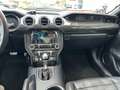 Ford Mustang Mustang 5,0 V8 GT Aut. //GT 500 // Rouge - thumbnail 22