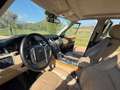 Land Rover Range Rover 3.6TdV8 HSE Aut. Negro - thumbnail 13