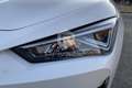 CUPRA Leon Leon Sportstourer 1.5 Hybrid 150 CV DSG Blanc - thumbnail 9