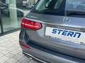 Mercedes-Benz E 300 de PHEV T *MEMORY*SITZHEIZUNG*DIGITAL* Grau - thumbnail 20